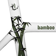 Bamboo Composite Frame