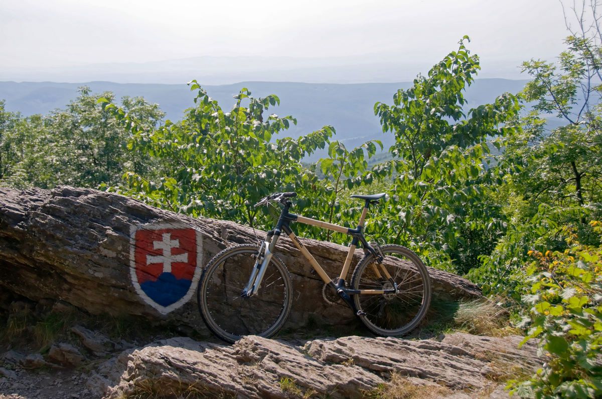 First Bamboo MTB Frame Project detail image 7