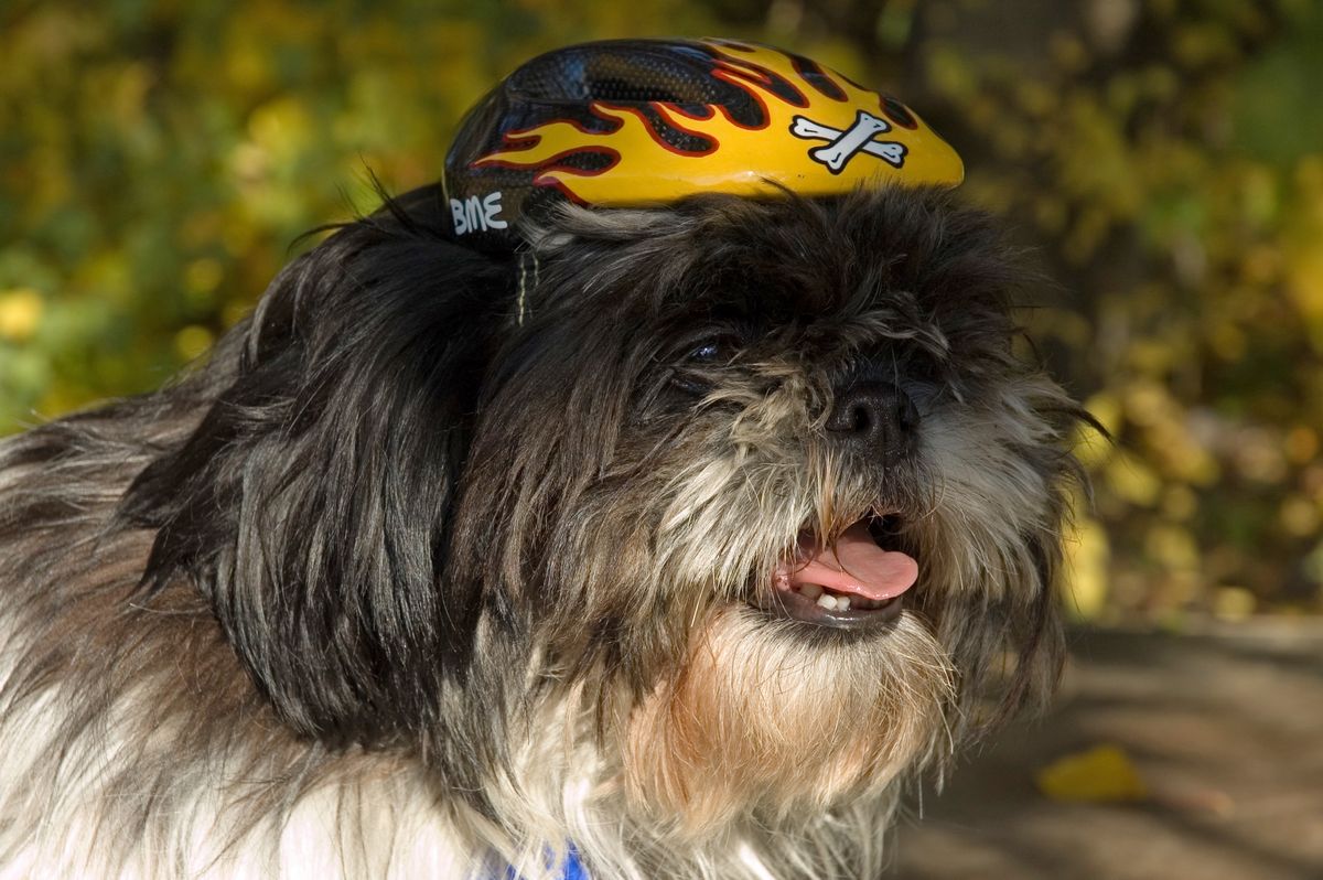 Other Project detail image 7