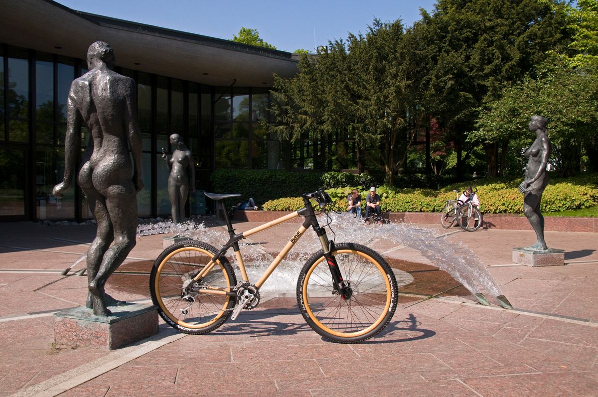 yellow-blackbird-bamboozler-mtb Project detail image 5