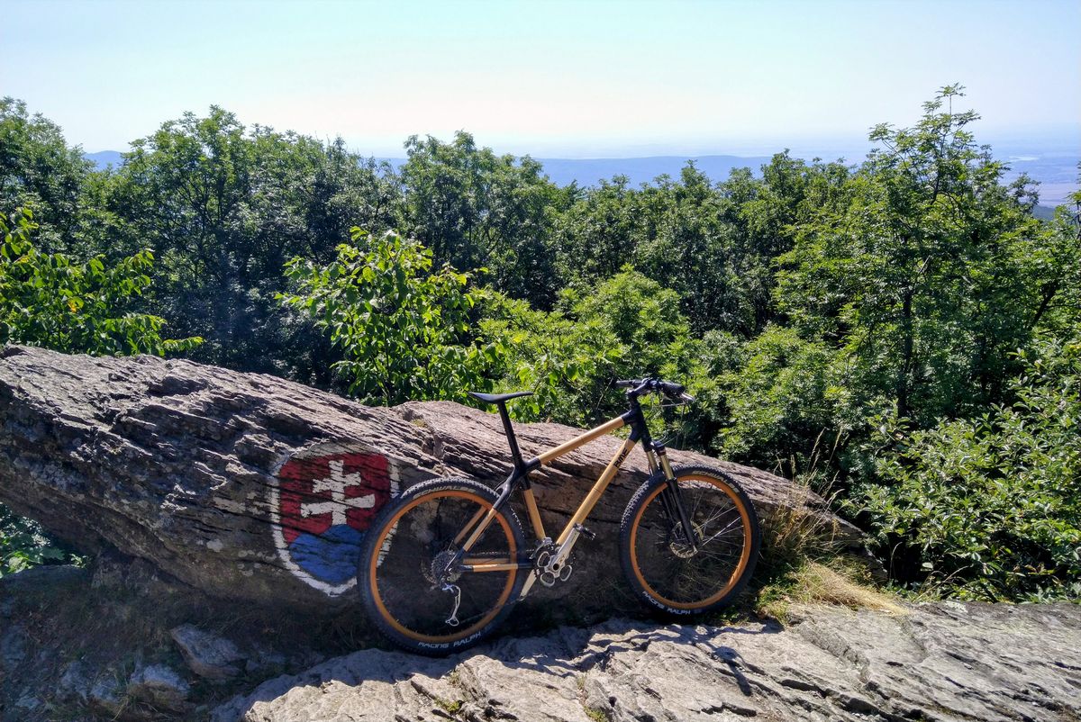 yellow-blackbird-bamboozler-mtb Project detail image 10