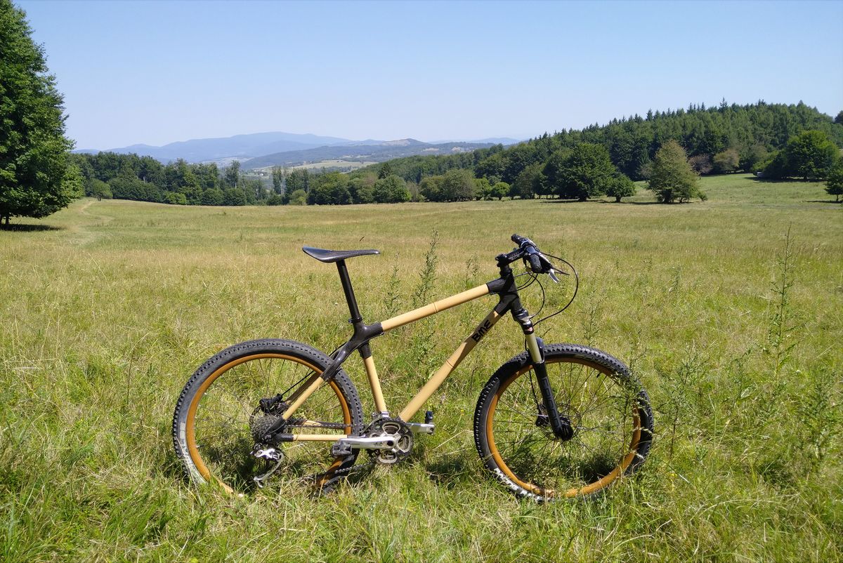 yellow-blackbird-bamboozler-mtb Project detail image 12